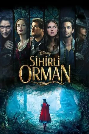 Sihirli Orman 2014 Full HD Türkçe Dublaj Film İzle