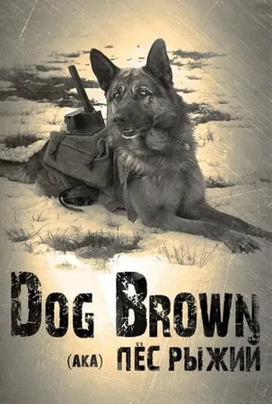 Red Dog 2016 Full HD Türkçe Dublaj Film İzle