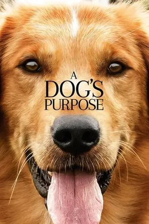Can Dostum 2017 Full HD Türkçe Dublaj Film İzle