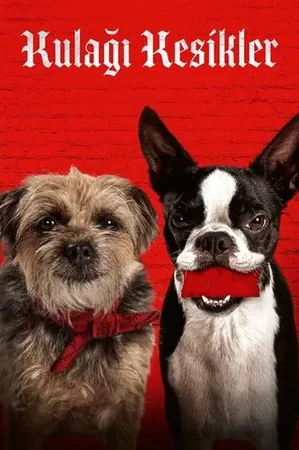 Kulağı Kesikler 2023 Full HD Türkçe Dublaj Film İzle